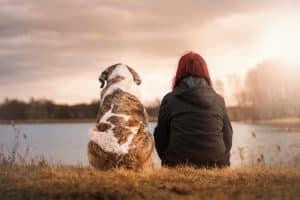 finding divorce lawyer near me